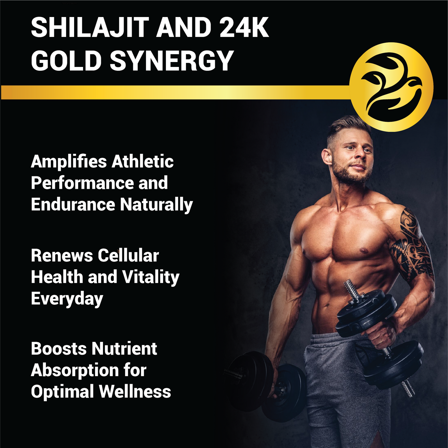 Unleash your true potential with NutraStore Shaktiras Shilajit Gold—India’s trusted pure Himalayan shilajit resin, enriched with 24K gold to fuel your strength, stamina, vitality and mental clarity for peak performance.