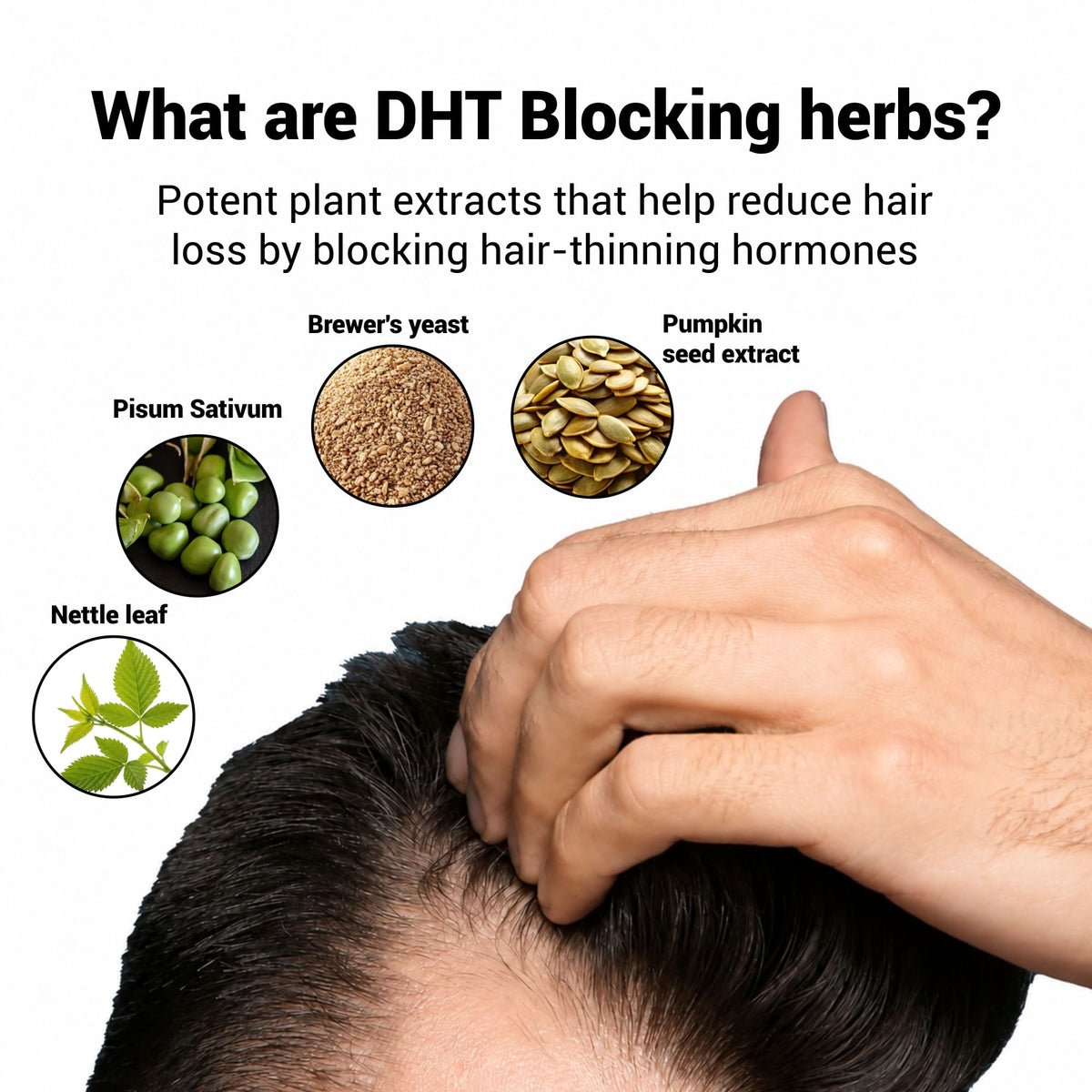 NutraStore Hair Nutrients for Healthy Hair Growth