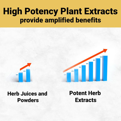 NutraStore Immunity Booster (60 Caps)